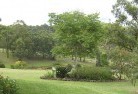 Southsideresidential-landscaping-40.jpg; ?>